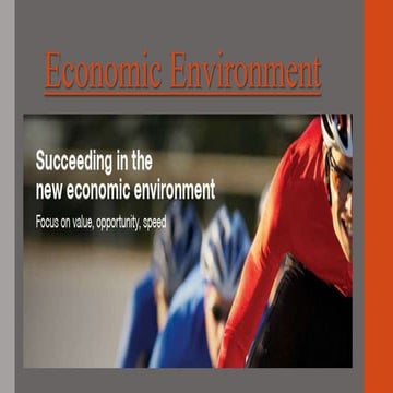 Economic environment