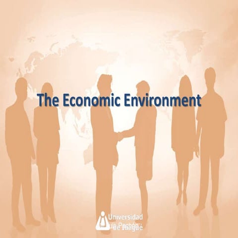 Economic Environment