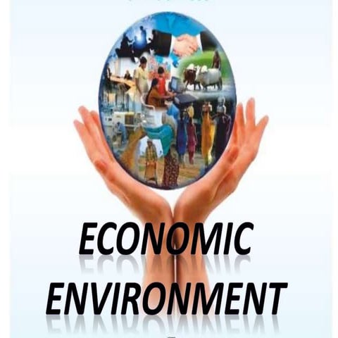 Economic environment  