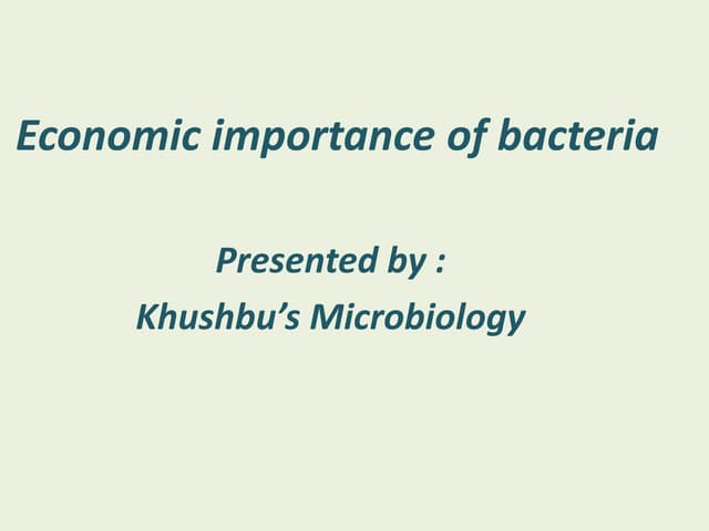 Economic importance of bacteria