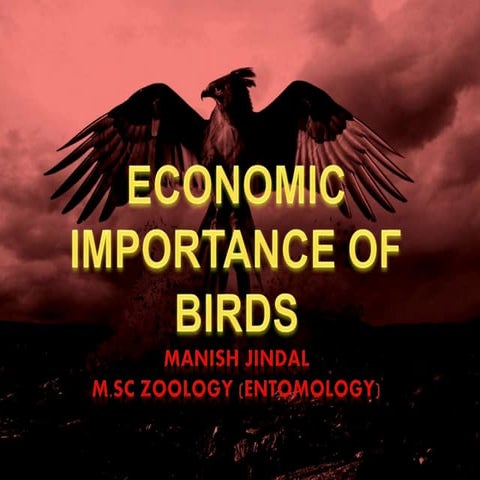 Economic importance of birds