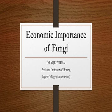 Economic Importance of Fungi.pptx