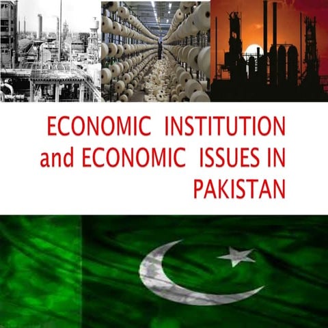 Economic Institution Issues in Pakistan