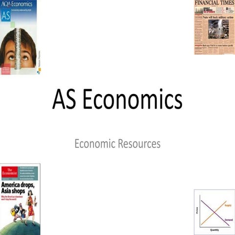 AS Economic resources