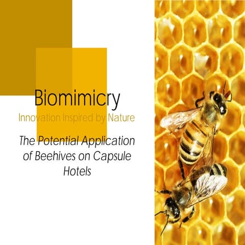 Biomimicry: Innovation Inspired by Nature