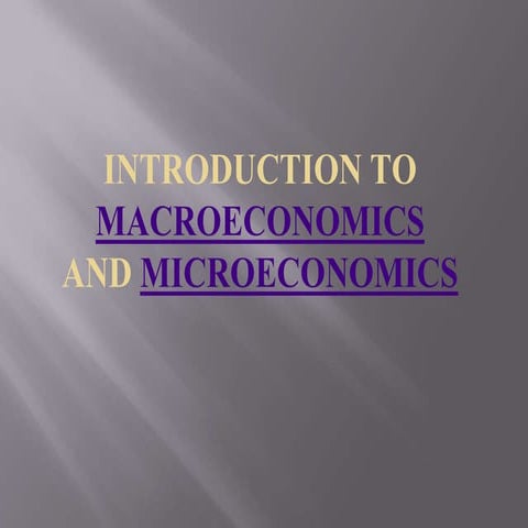Economics assignment help guide service in macro economics and micro economics