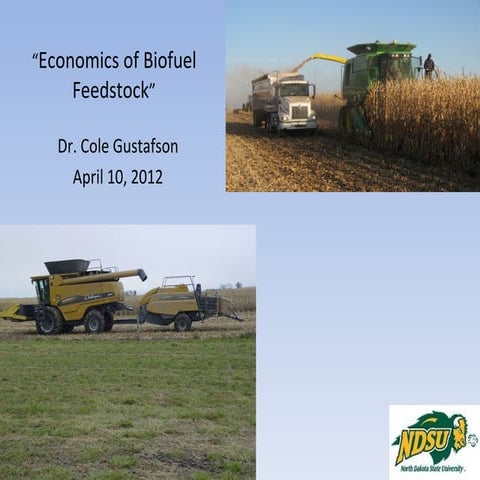 Economics biofuel041012 gustafson