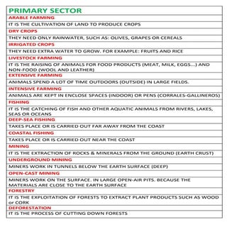 Economic sector vocabulary