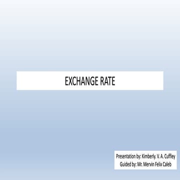 Exchange Rate