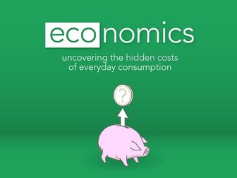 Eco-nomics, The hidden costs of consumption