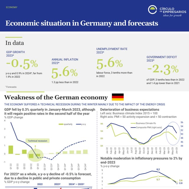 Economic situation in Germany and forecasts PDF
