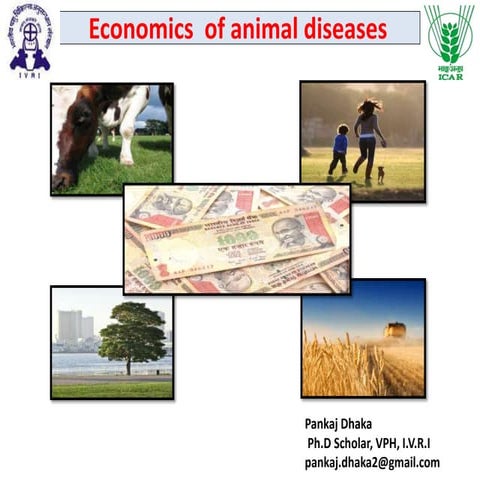 Economics of animal diseases