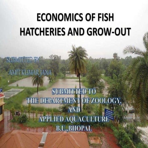 Economics of fish hatcheries and grow out