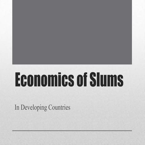 Economics of slums in developing countries 