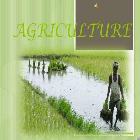 PROFILE OF INDIAN AGRICULTURE