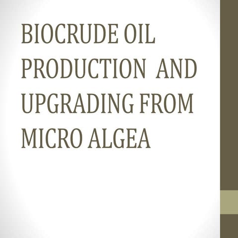 BIOCRUDE OIL PRODUCTION  