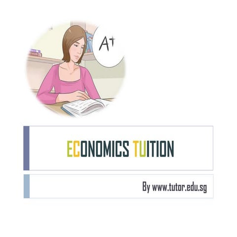 Economics Tuition | PDF