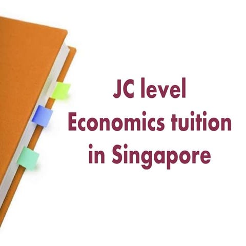 Economics Tuition | PDF