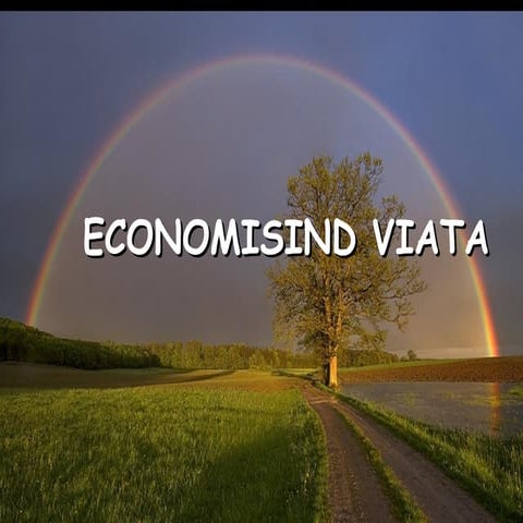 Economisind Viata