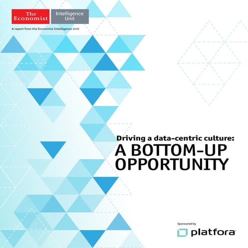Driving A Data-Centric Culture: A Bottom Up Opportunity