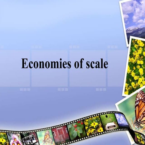 economy-of-scale-1207329994078987-9.ppt