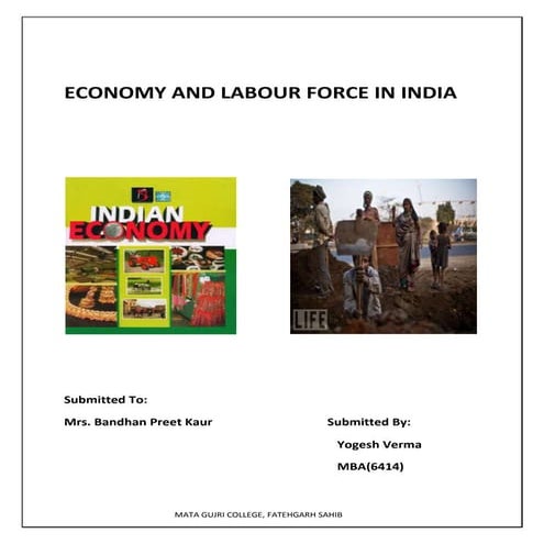 Economy & labour force in india (2)