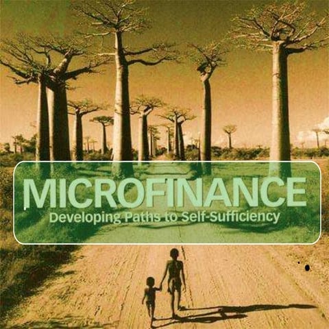Micro Finance with statistics