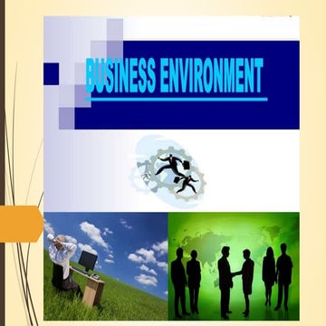 Business Environment- Economics Perspective
