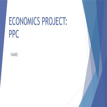 eco project 1 class 11 20234.pptxdsgsgsgsdgsgsdgsdg