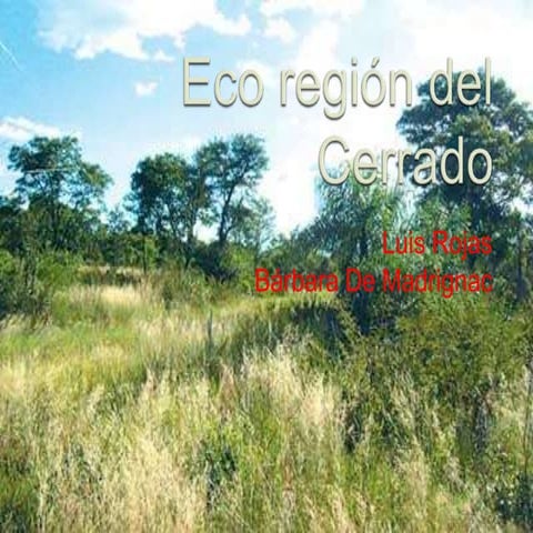 Eco región del cerrado | PPTX
