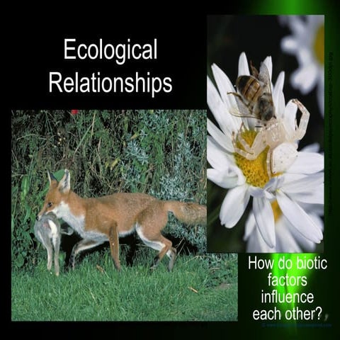 Ecological relationship