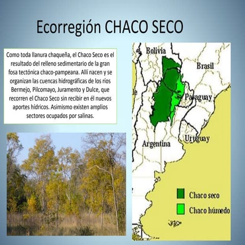 Ecorregion chaco seco
