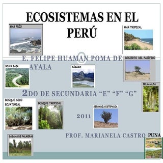 ECOSISTEMAS EN EL PERU