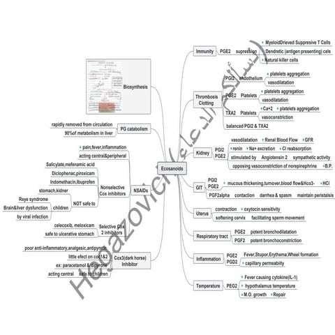 Eicosanoids Pharmacology.