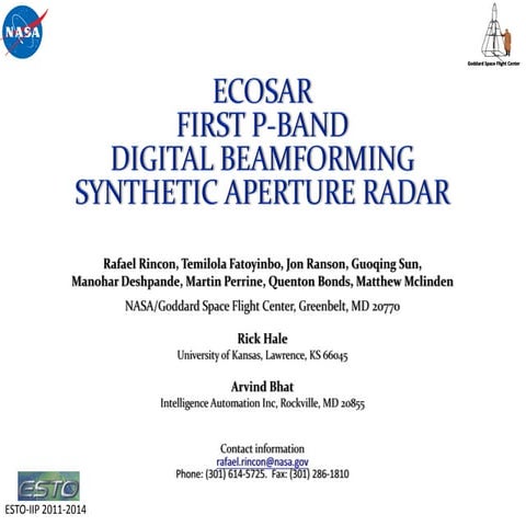 EcoSAR Technology IGARSS Presentation.pdf