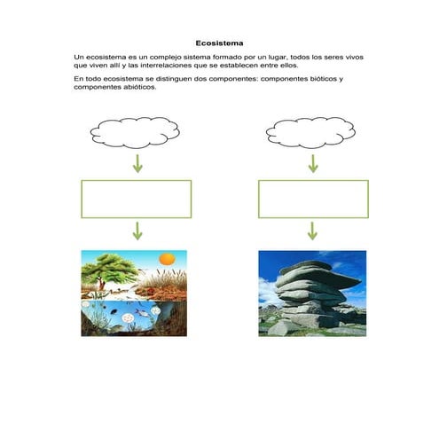 Organización de los seres vivos en el ecosistema | PPTX