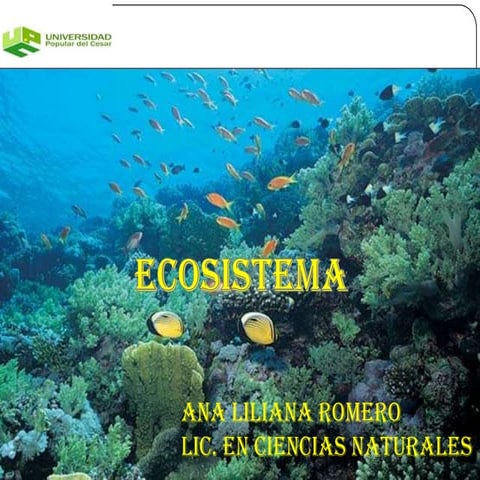 Ecosistema | PPTX