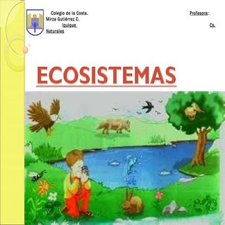 Ecosistema