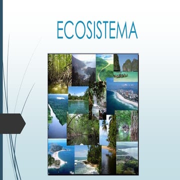Ecosistema | PPTX