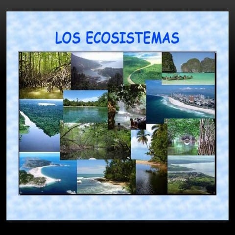 Ecosistema | PPTX