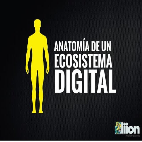 Anatomía de un Ecosistema Digital