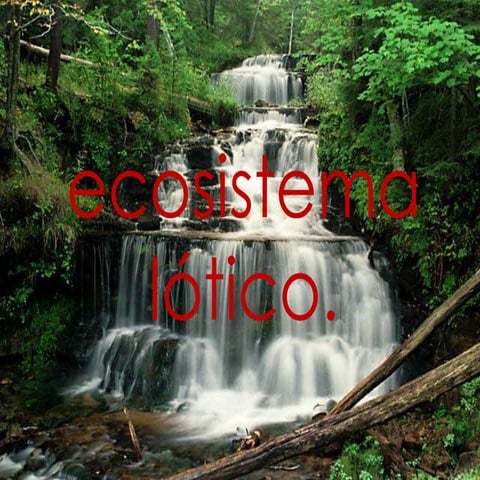 Ecosistema lótico 