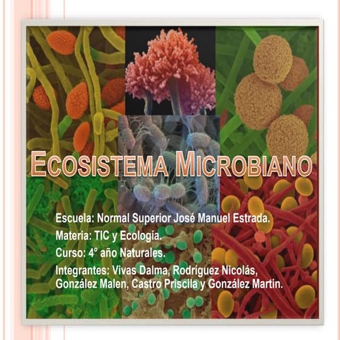 Ecosistema Microbiano | PPTX
