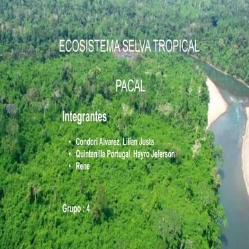 ecosistema pacal.pptx