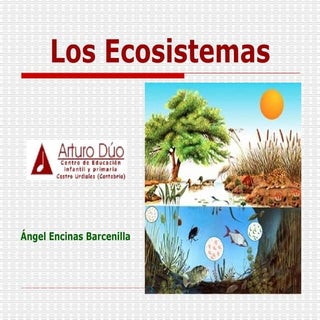 Ecosistemas