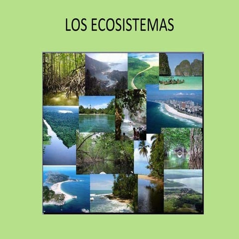 Conociendo los ecosistemas | PPTX