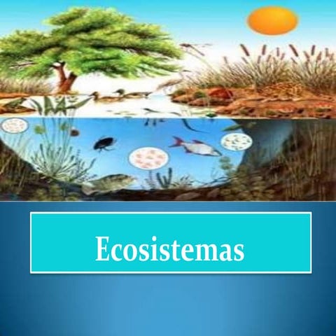 Clasificacion de los ecosistemas | PPTX