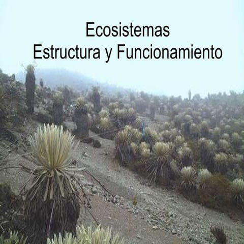 Ecosistemas