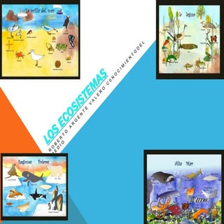 Los ecosistemas