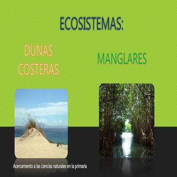 Ecosistemas | PPTX